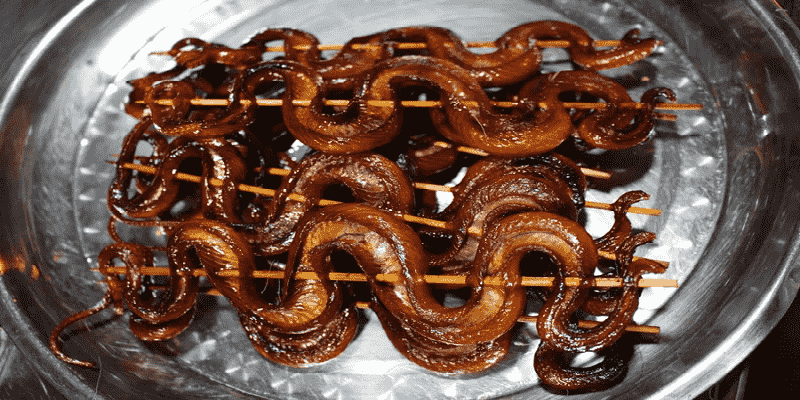 Mơ thấy ăn thịt rắn đánh con gì dễ trúng nhất?